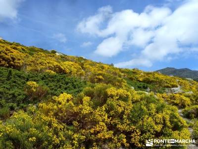 Lagunas de Pelañara-Peña Cítores- Guadarrama; senderismo fin de semana; viajes mayo